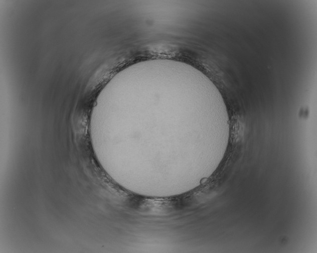 X0000111530713200908111226