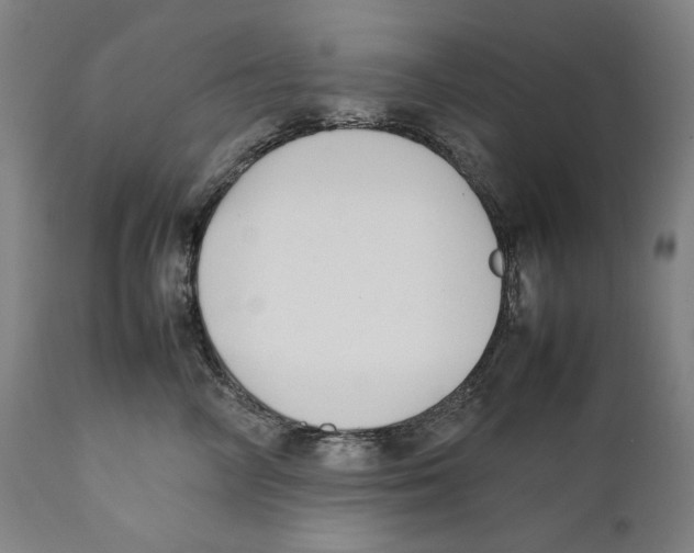 X0000111530714200908111226