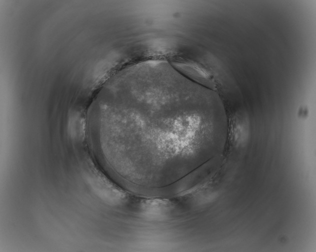 X0000111530716200908111226