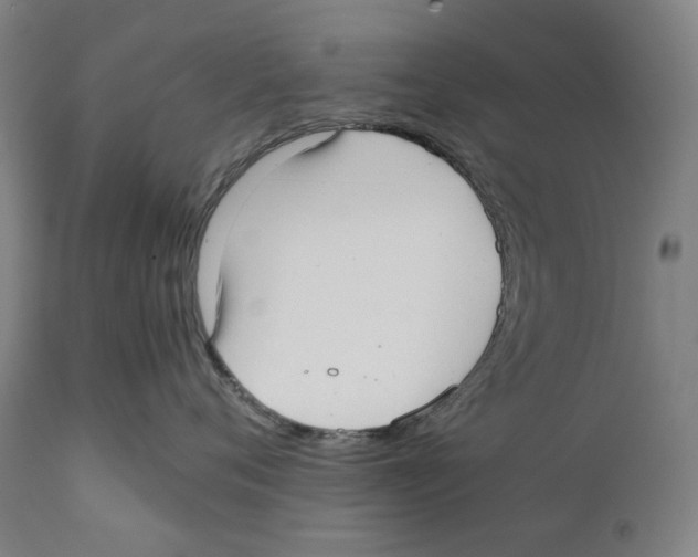 X0000111530720200908111226