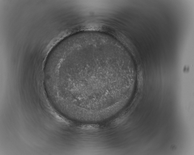 X0000111530721200908111225