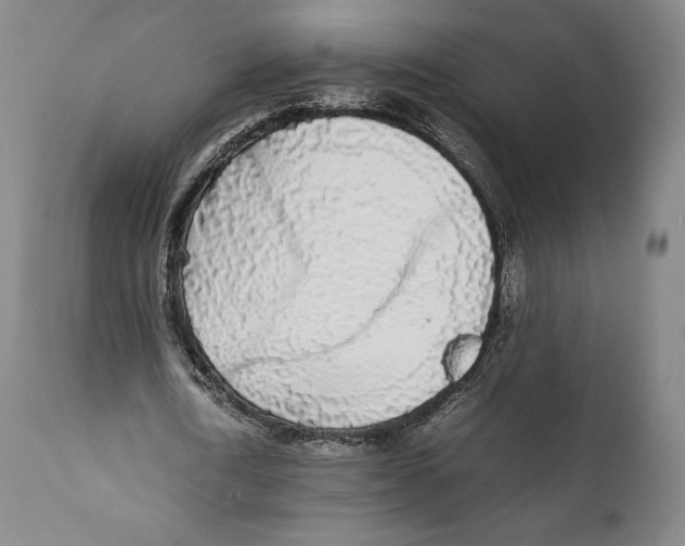 X0000111530722200908111225