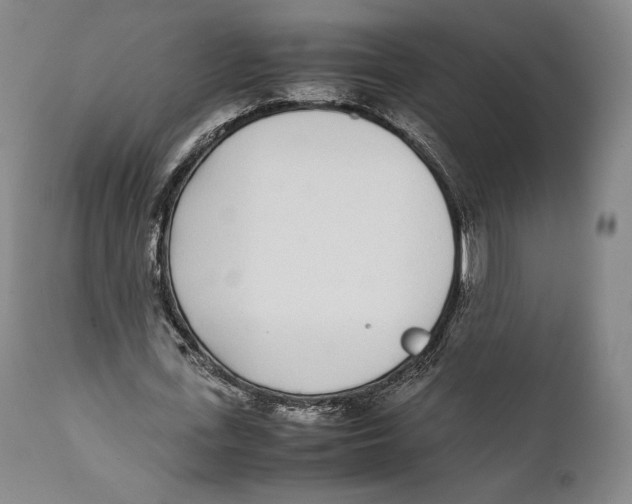 X0000111530723200908111225