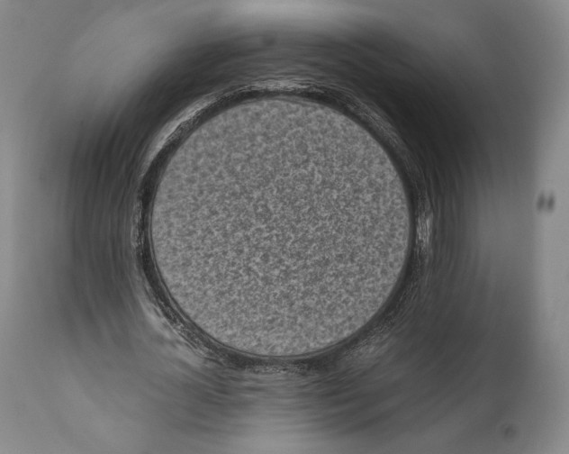 X0000111530724200908111225