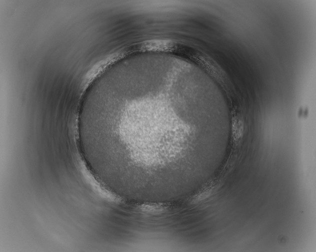 X0000111530725200908111225