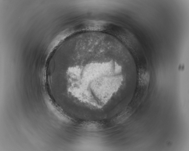 X0000111530726200908111225