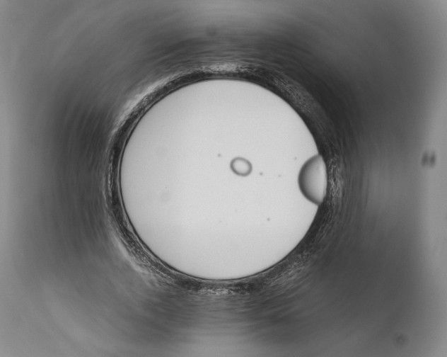 X0000111530728200908111225