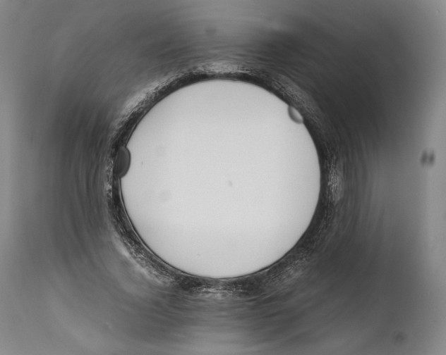 X0000111530732200908111225