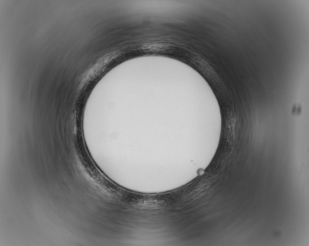 X0000111530734200908111225