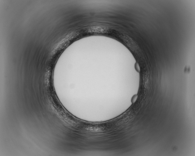 X0000111530735200908111225