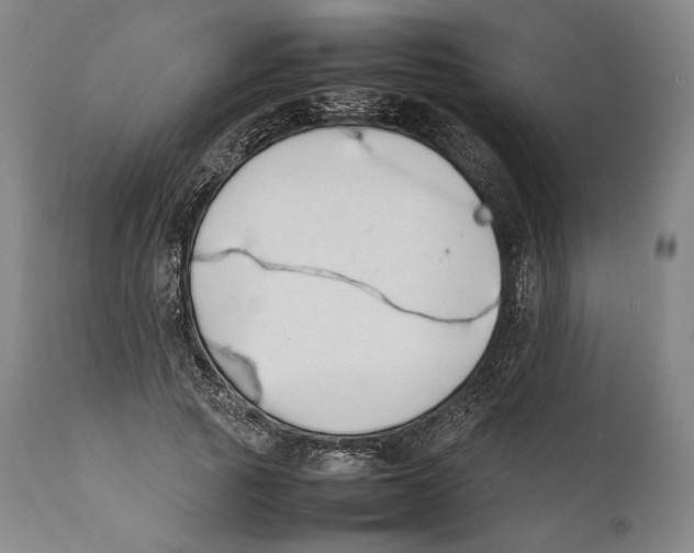 X0000111530737200908111225