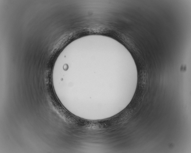 X0000111530738200908111225