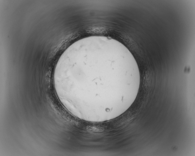 X0000111530739200908111225