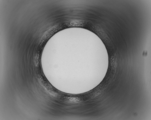 X0000111530741200908111225