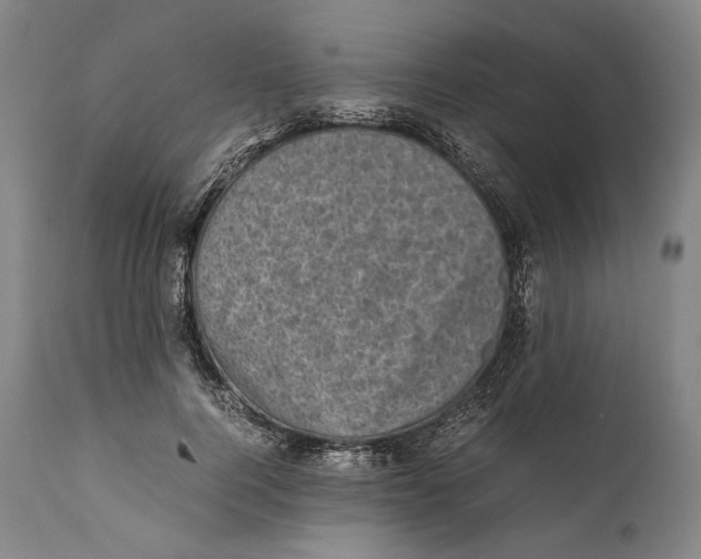 X0000111530744200908111225