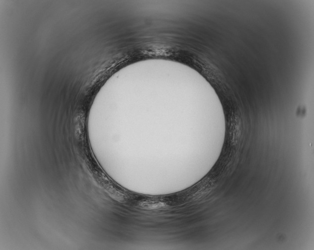 X0000111530747200908111225