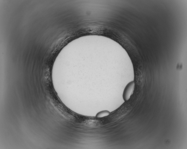 X0000111530748200908111225