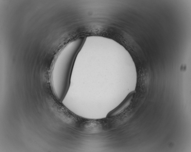 X0000111530750200908111225