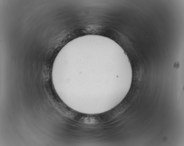 X0000111530751200908111225