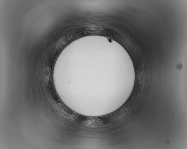 X0000111530752200908111225