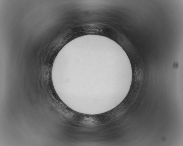 X0000111530753200908111225