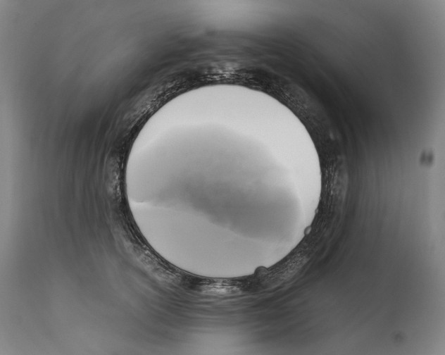 X0000111530754200908111225