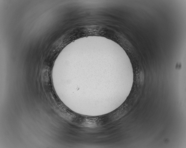 X0000111530757200908111225