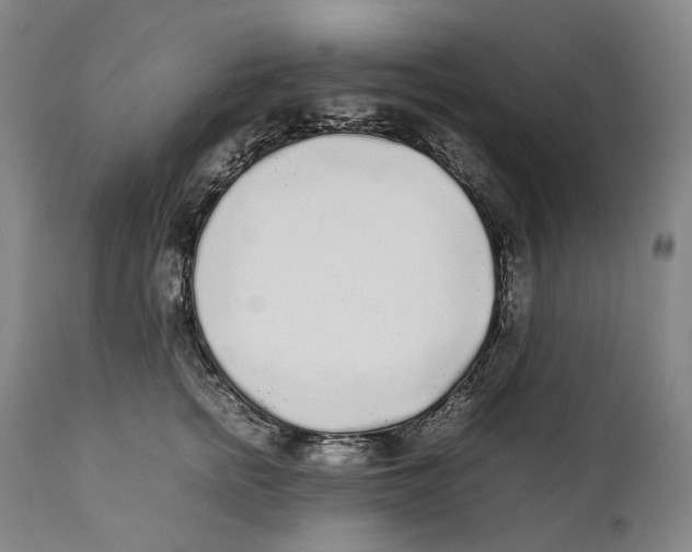 X0000111530758200908111225