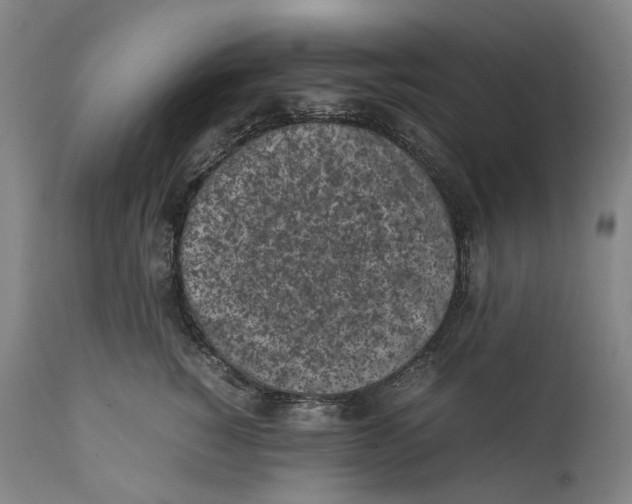 X0000111530760200908111226