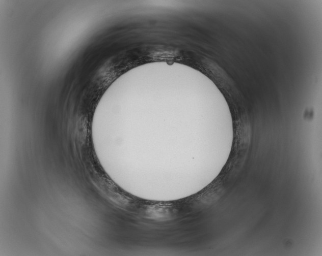 X0000111530761200908111226