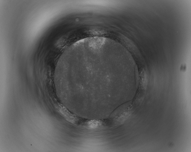 X0000111530762200908111226