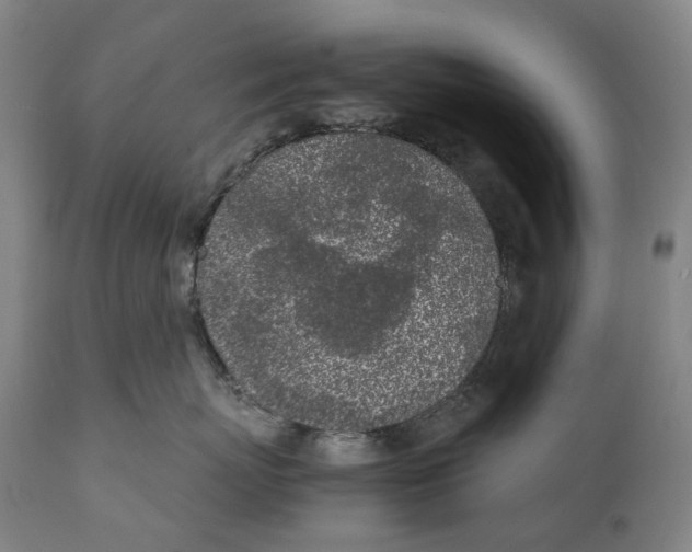 X0000111530767200908111226