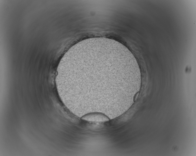 X0000111530768200908111226