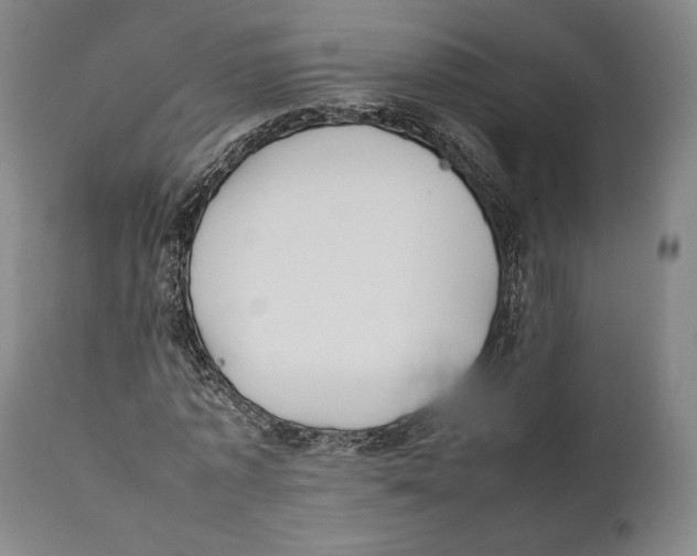 X0000111530773200908111225