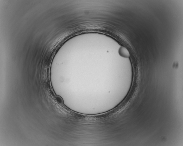 X0000111530777200908111225