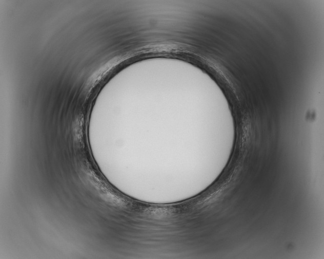 X0000111530778200908111225