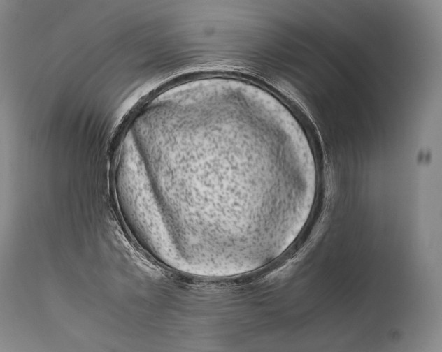 X0000111530781200908111225