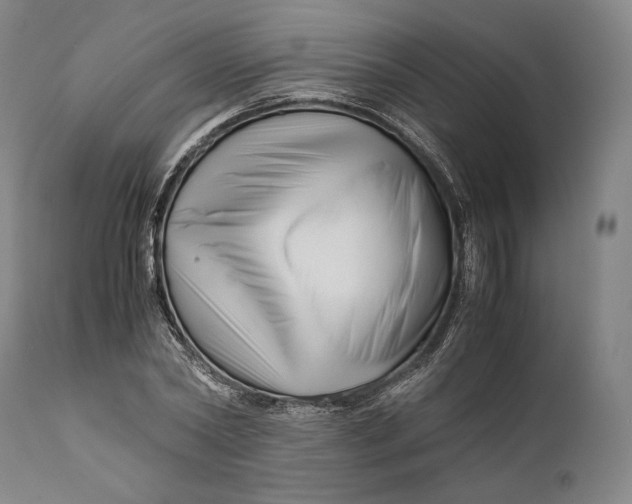 X0000111530782200908111225