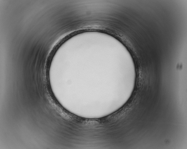 X0000111530784200908111225