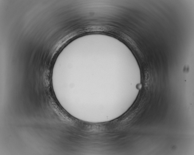 X0000111530786200908111225