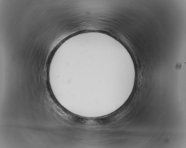 X0000111530787200908111225