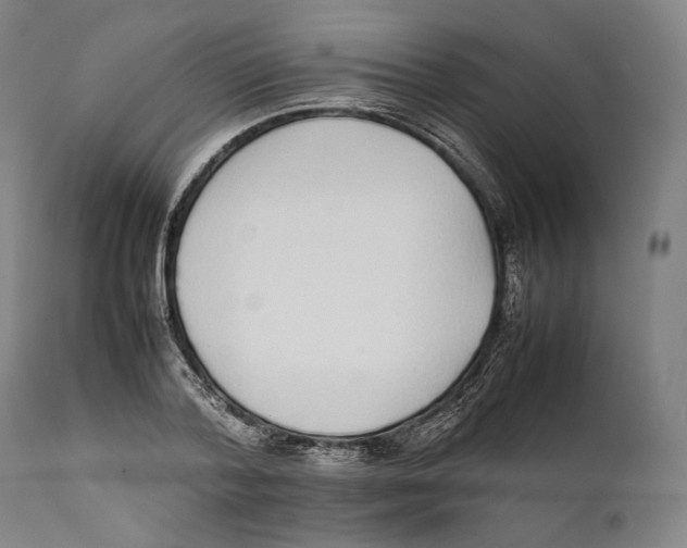 X0000111530788200908111225