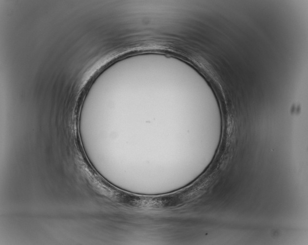 X0000111530789200908111225