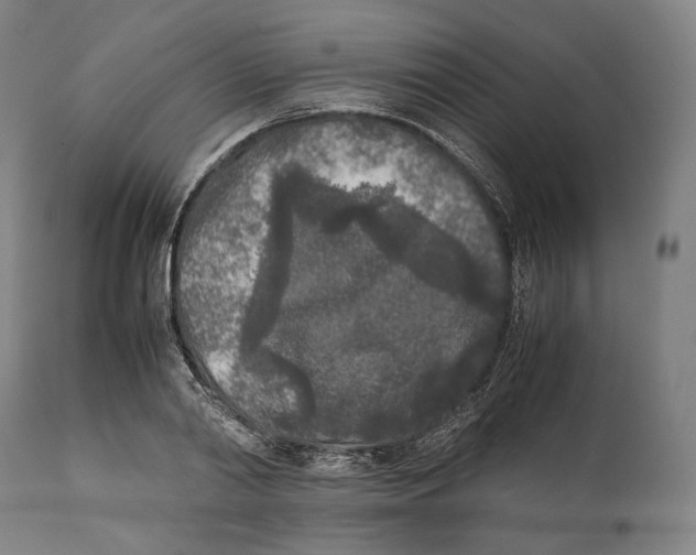 X0000111530790200908111225