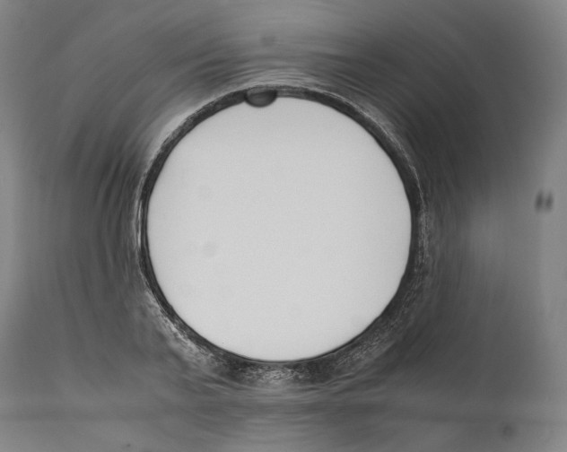 X0000111530791200908111225