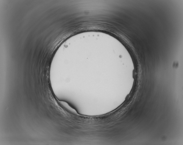 X0000111530793200908111225