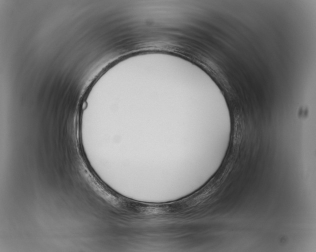 X0000111530796200908111224