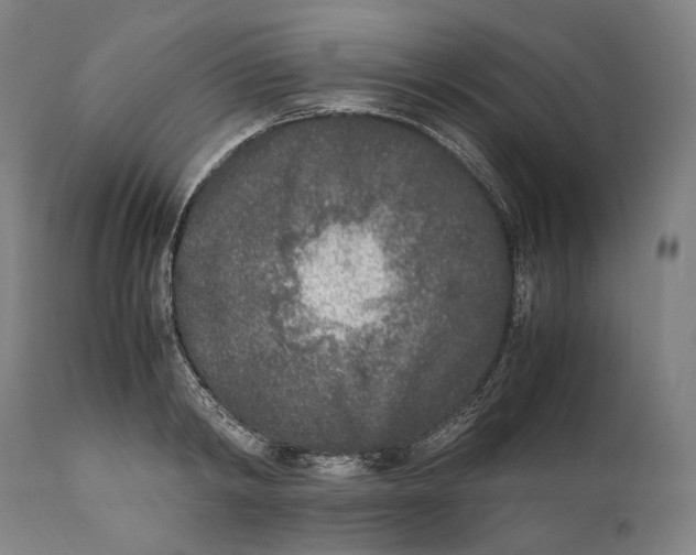 X0000111530798200908111224