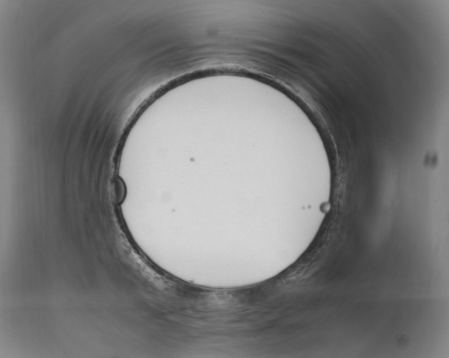 X0000111530799200908111224