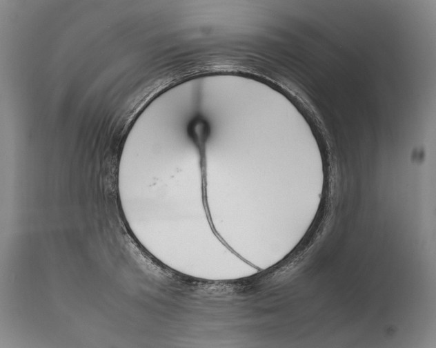 X0000111530801200908111224